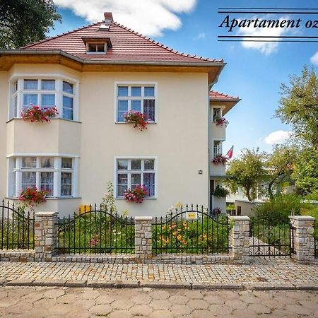 Dom Pod Rybia Skala Daire Jelenia Gora Dış mekan fotoğraf